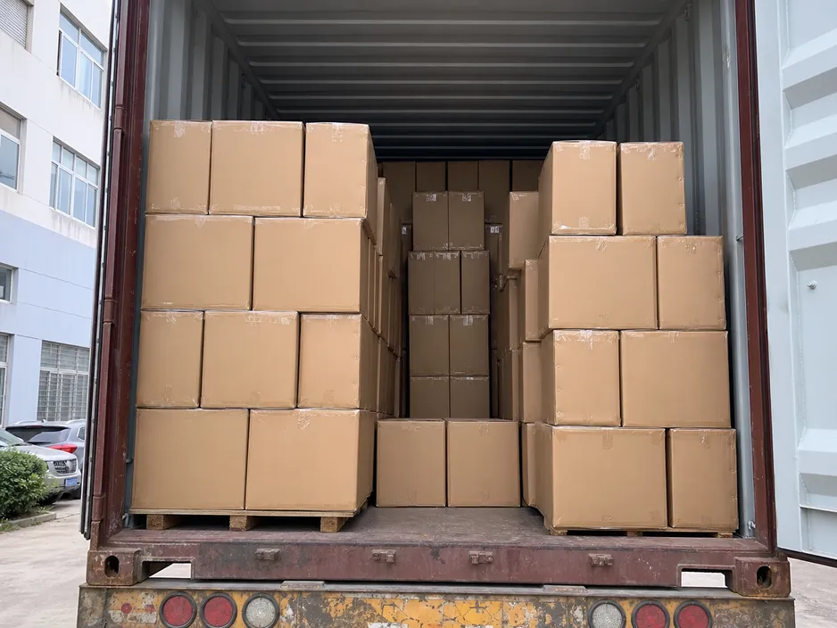 Standard cartons of ear loop medical masks loaded for container shipment