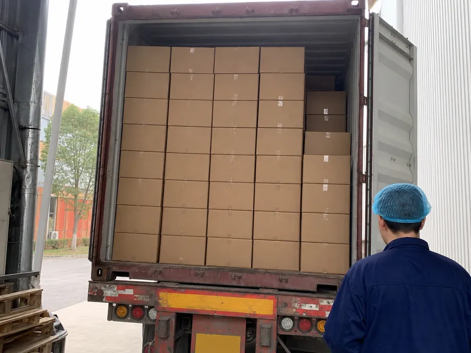Container loading configuration for surgical medical cap cartons in a 20GP shipping container