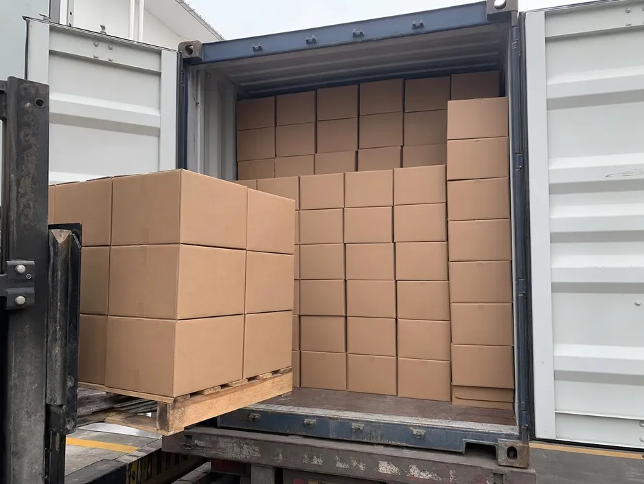 Master cartons of medical protective coveralls loaded in shipping container